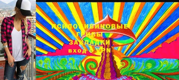 мдпв Россошь