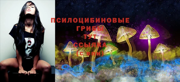 шишки Абинск